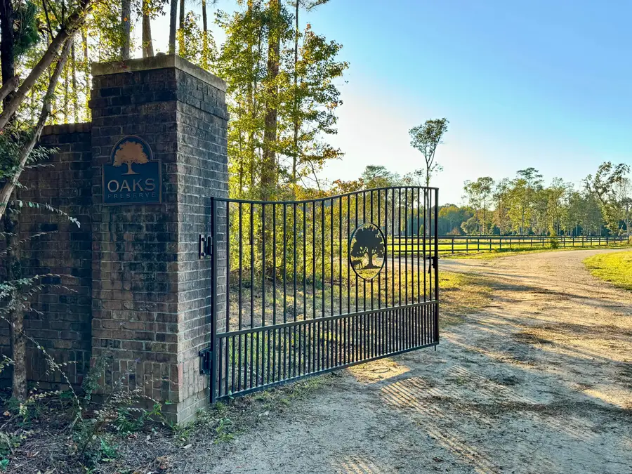 0 Morrison Canal Drive, McClellanville, SC 29458 - #3