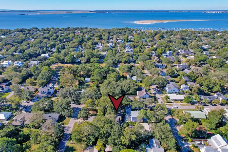 1122 Simmons Street, Mount Pleasant, SC 29464 - #3