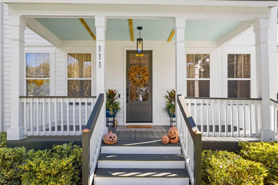 111 Brady Street, Charleston, SC 29492 - #2