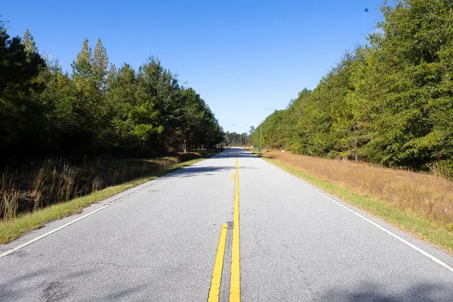 0 W Sellers Road, Marion, SC 29571 - #3