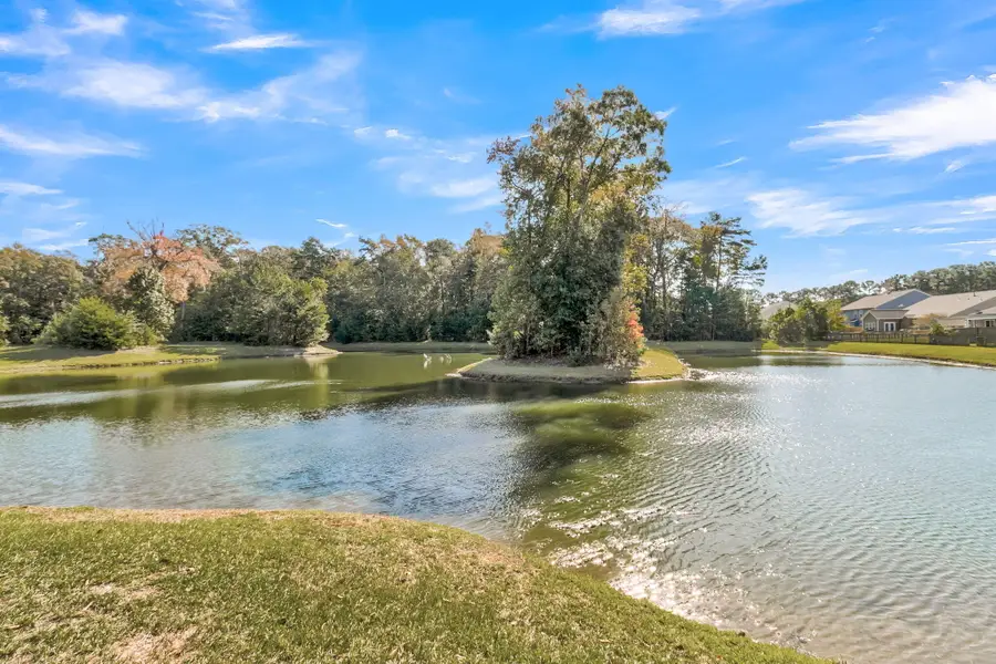 256 Gazania Way, Charleston, SC 29414 - #2