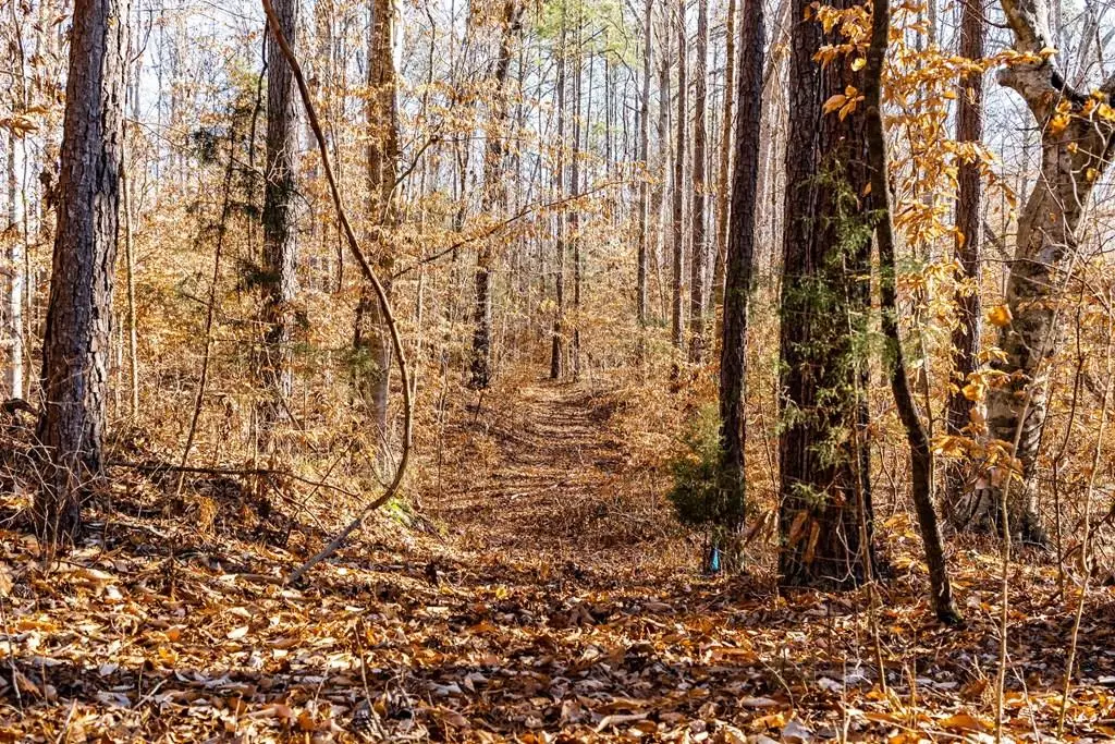 0 Dogwood Lane, Abbeville, SC 29620 - #1