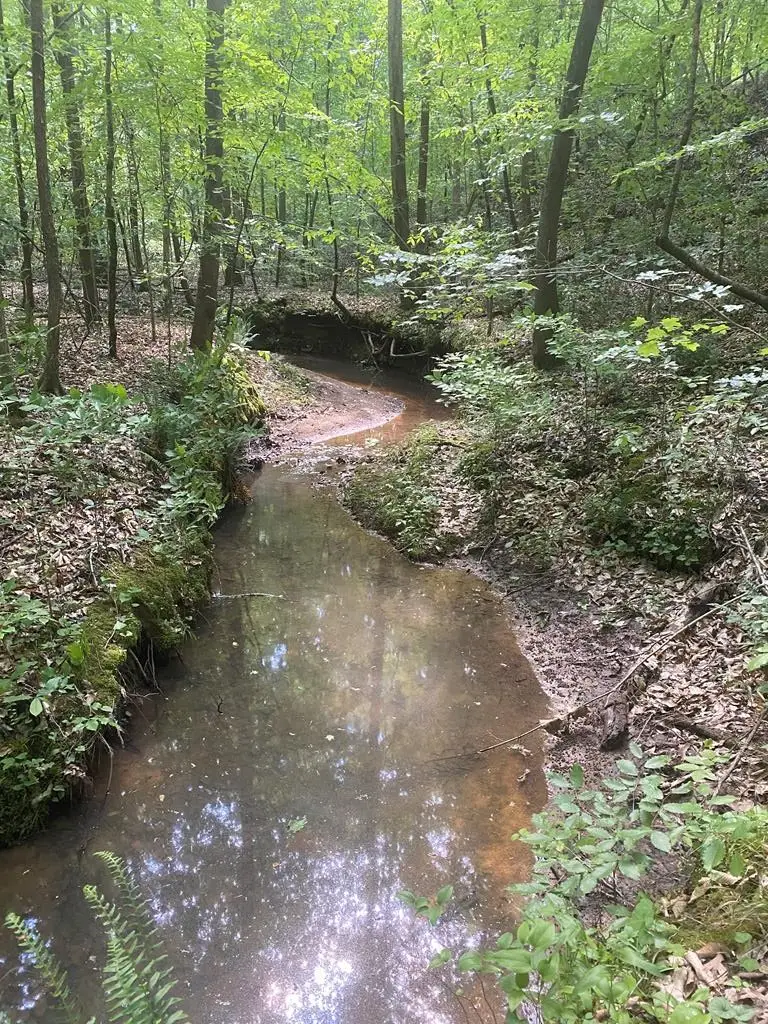 0 Dogwood Lane, Abbeville, SC 29620 - #3