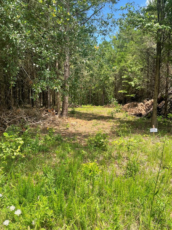 96 Deacon Rd., Calhoun Falls, SC 29628