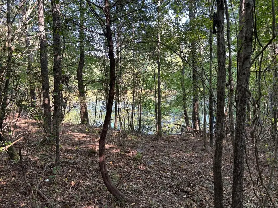 1460 Whitetown Road, McCormick, SC 29835 - #2