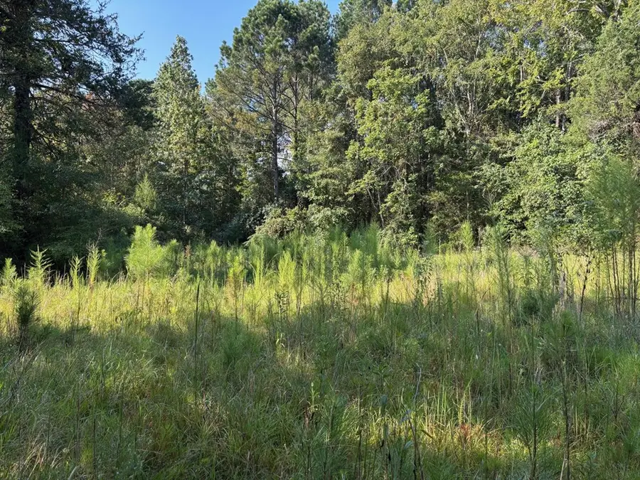 1460 Whitetown Road, McCormick, SC 29835 - #3