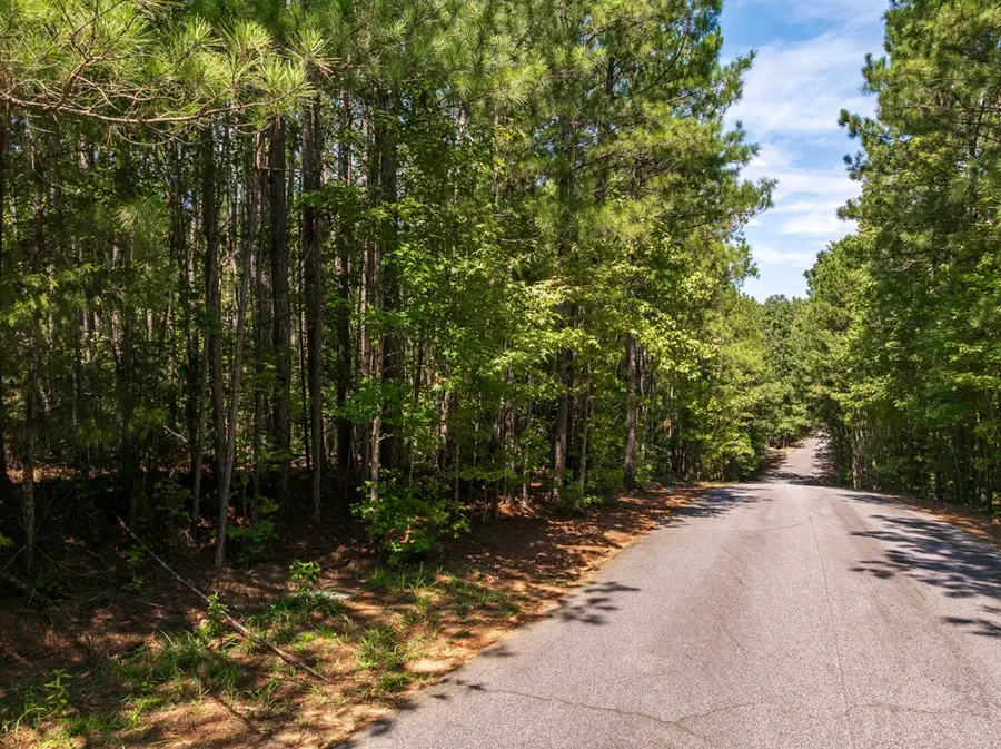 00 Hidden Springs Way, Cross Hill, SC 29332 - #2