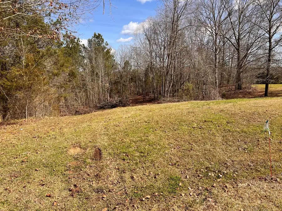120 Otter Lane - Lot 36, Waterloo, SC 29384 - Image #2