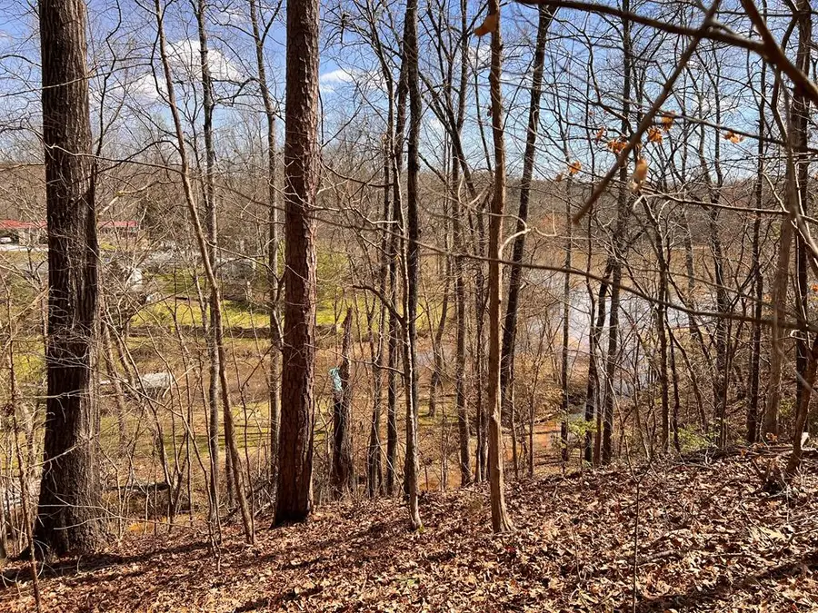 120 Otter Lane - Lot 36, Waterloo, SC 29384 - Image #3