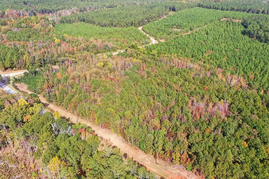 00 S Hwy 81, Calhoun Falls, SC 29628 - Image #2