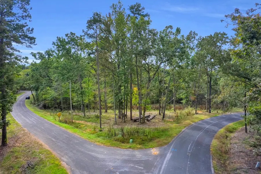 00 Lake Overlook Rd, Waterloo, SC 29384 - Image #2