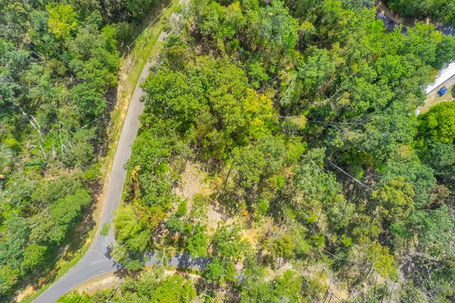 00 Lake Overlook Rd, Waterloo, SC 29384 - Image #3