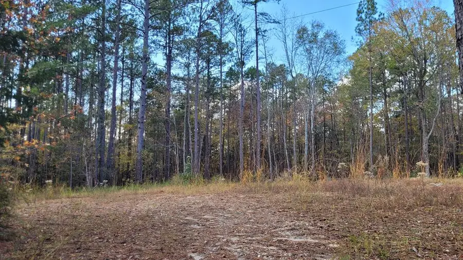 3082 Bethel Church Road, Laurens, SC 29360 - Image #3