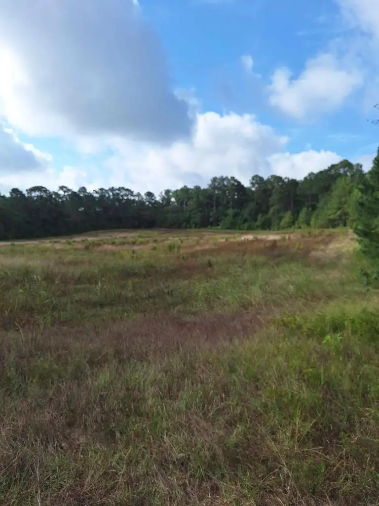 00 Austin R.d, Donalds, SC 29638 - Image #2