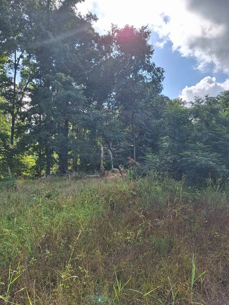 00 Austin R.d, Donalds, SC 29638 - Image #3