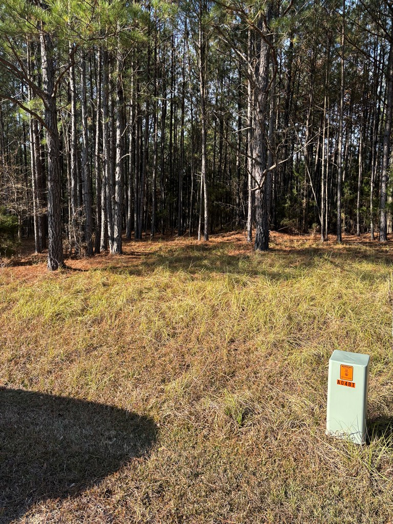 00 Watersedge Dr., Cross Hill, SC 29332 - #2