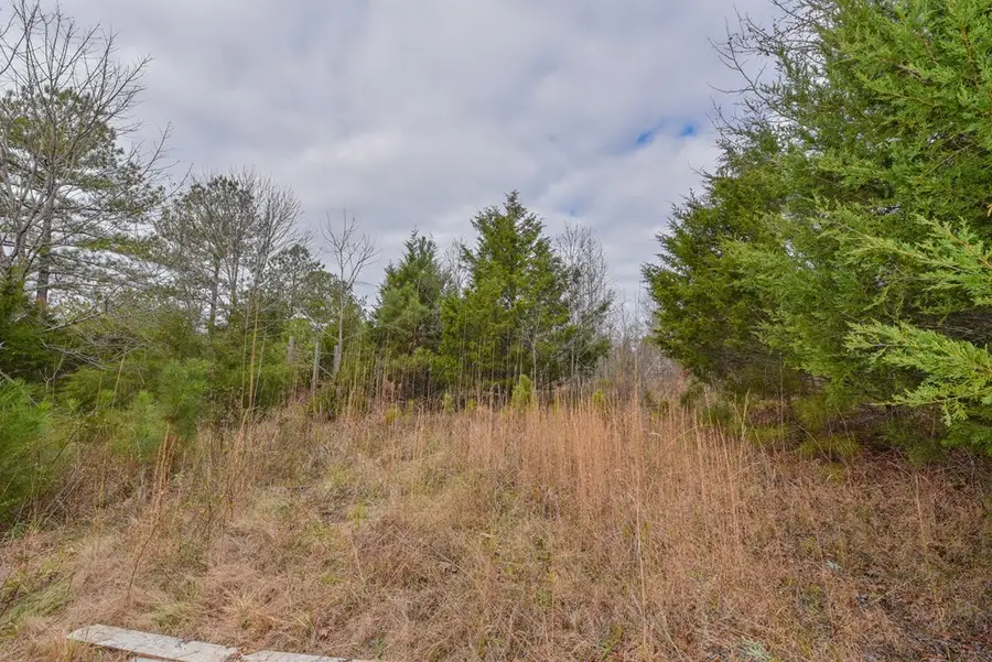 0 Shrine Club Rd, Waterloo, SC 29384 - Image #2