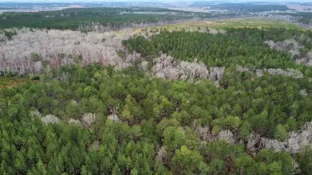 00 Chappells Highway, Chappells, SC 29037 - #1