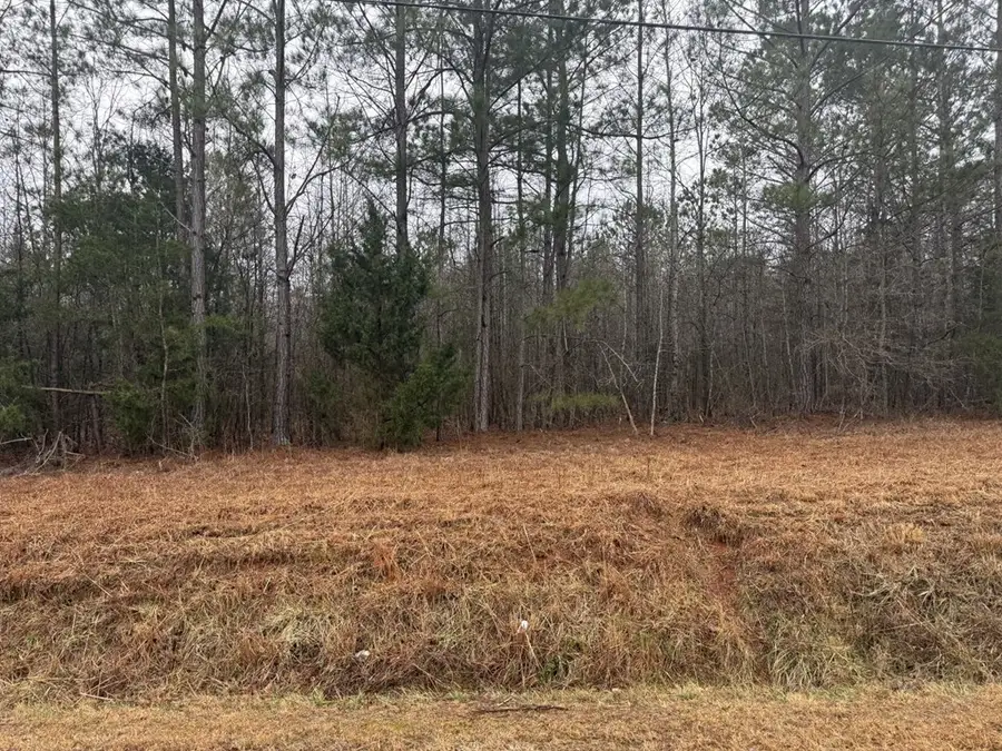 0 Haddon Rd, Donalds, SC 29638 - #3