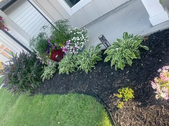 303 Indigo Way, Greenwood, SC 29649 - #2