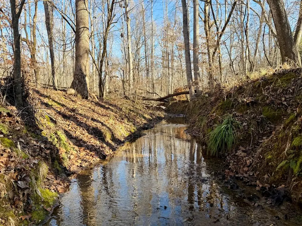 00 00 Neely Ferry Road, Laurens, SC 29360 - #1