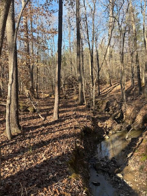 180 Ansel Ln, Bradley, SC 29819