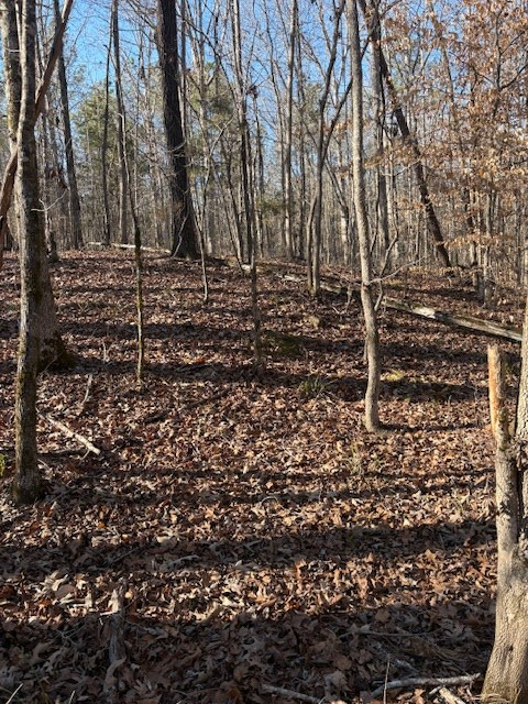 180 Ansel Ln, Bradley, SC 29819 - #2