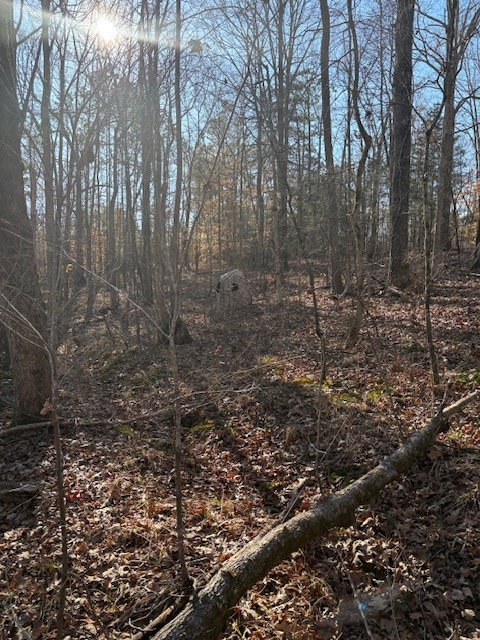 180 Ansel Ln, Bradley, SC 29819 - #3