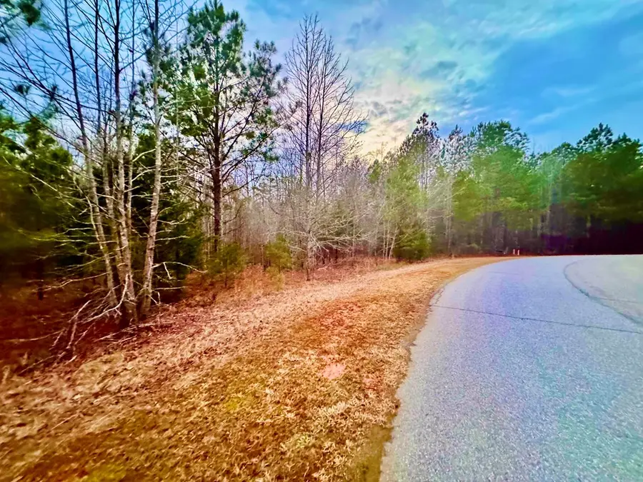 517 Terrapin Pointe Rd, Hodges, SC 29653 - #3