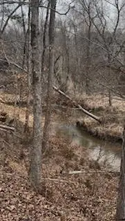 143 Terrapin Pointe, Hodges, SC 29653