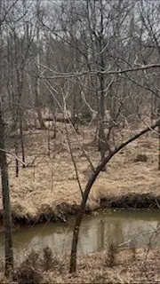 143 Terrapin Pointe, Hodges, SC 29653 - #3