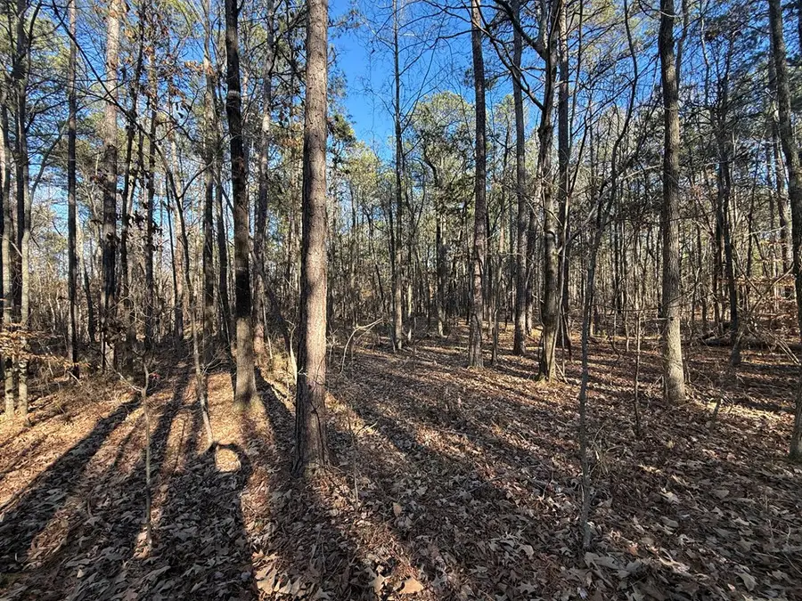 0 North Acres Rd 30.1 Acres, Greenwood, SC 29649 - #2
