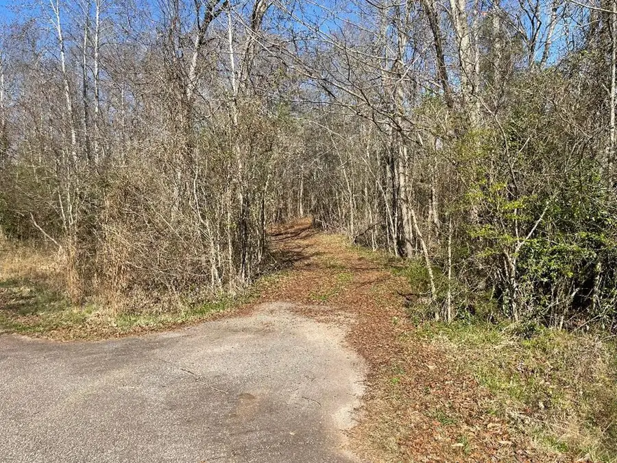 1978 Old Douglas Mill Rd, Abbeville, SC 29620 - #2