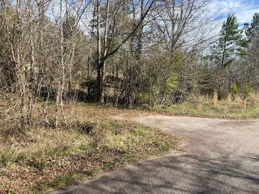 1978 Old Douglas Mill Rd, Abbeville, SC 29620 - #3