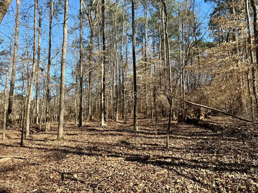 122/124 Lollis Road, Greenwood, SC 29649 - #2