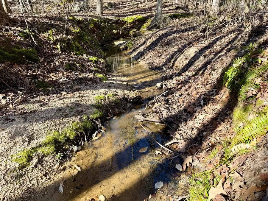 122/124 Lollis Road, Greenwood, SC 29649 - #3