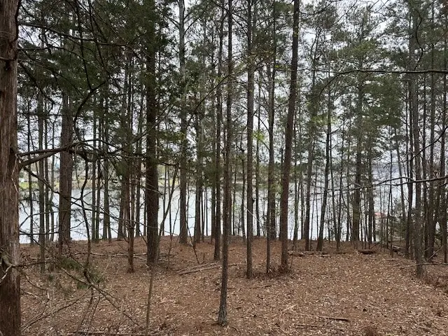 1.89 ac Rabbit Run Rd, Ninety Six, SC 29666 - #3