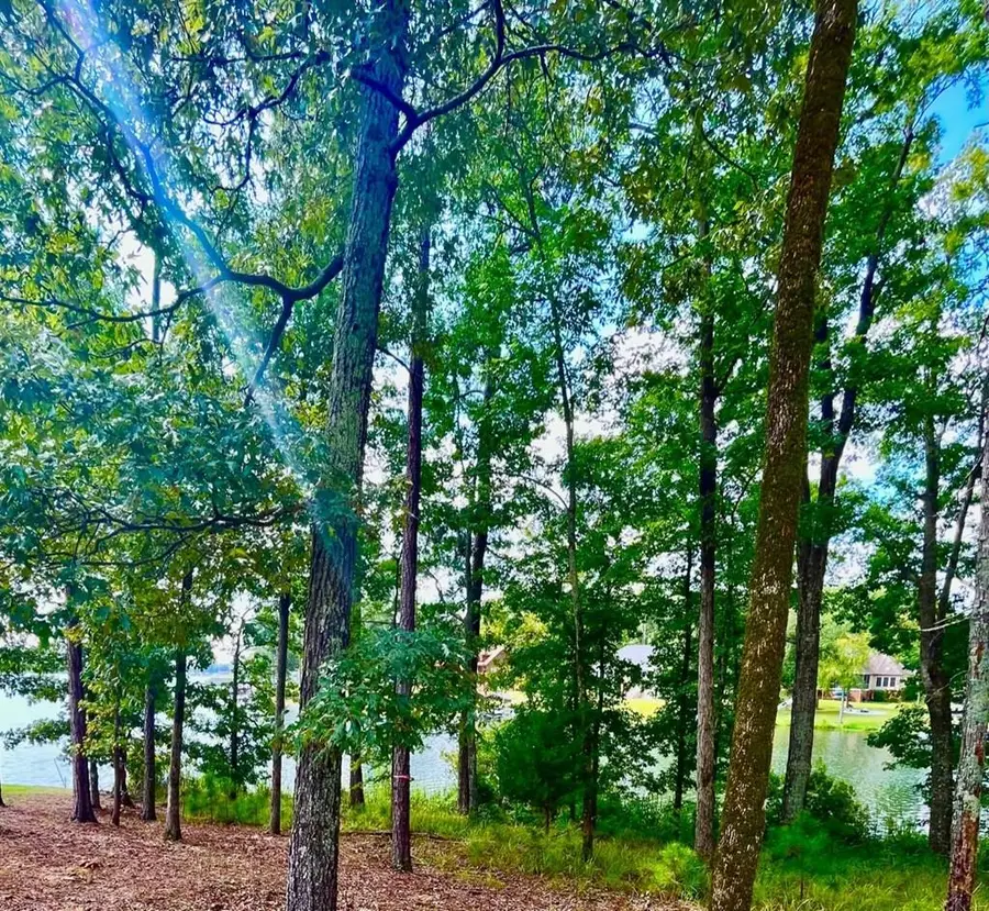 37 Longshot, Cross Hill, SC 29332 - #2