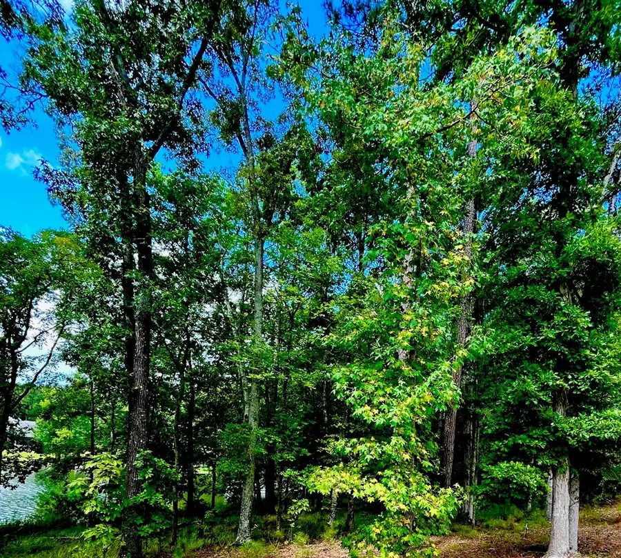 37 Longshot, Cross Hill, SC 29332 - #3