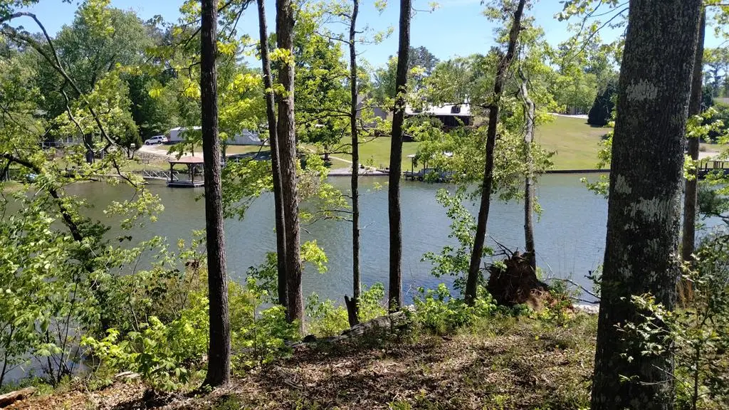 00 Goggans Ct., Chappells, SC 29666 - #1