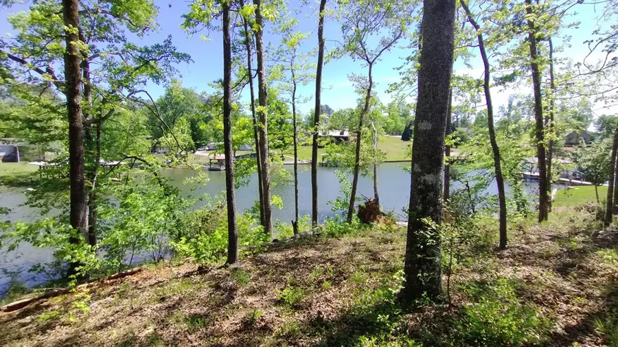 00 Goggans Ct., Chappells, SC 29666 - #2
