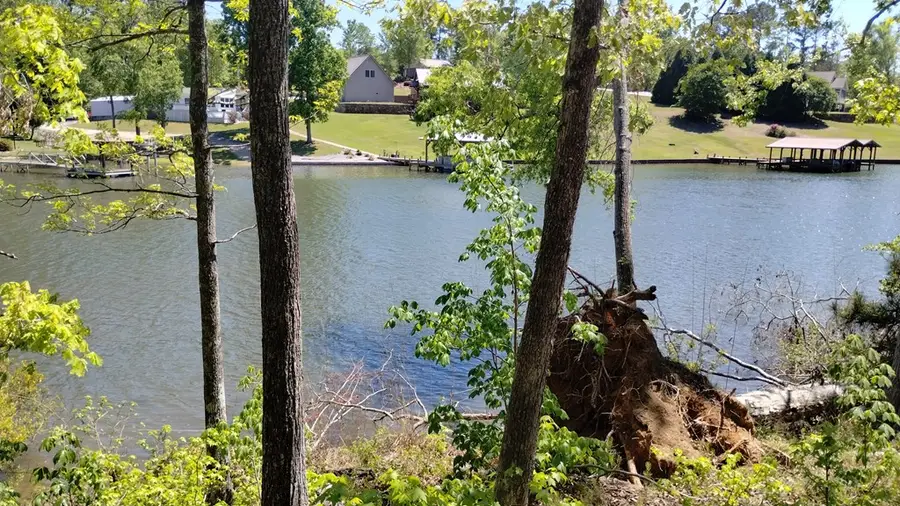 00 Goggans Ct., Chappells, SC 29666 - #3