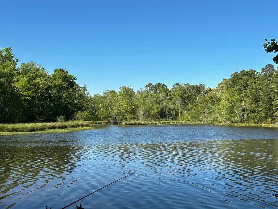 77 Bush Lane, Cross Hill, SC 29332 - #2