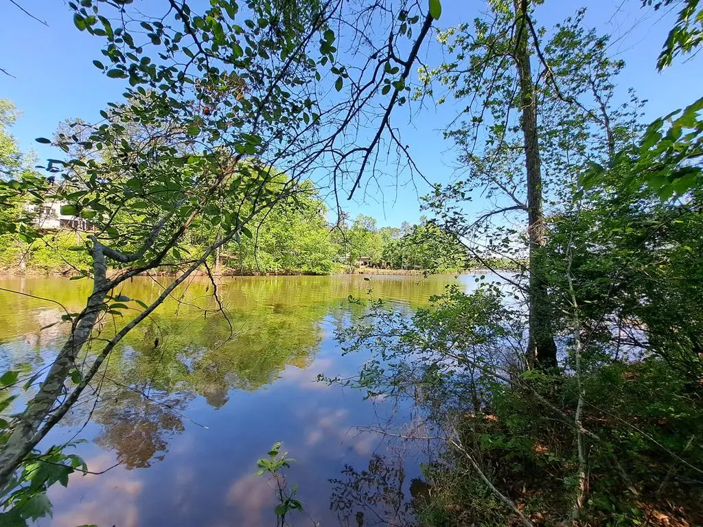 928 Eagles Harbor Drive, Hodges, SC 29653 - #1