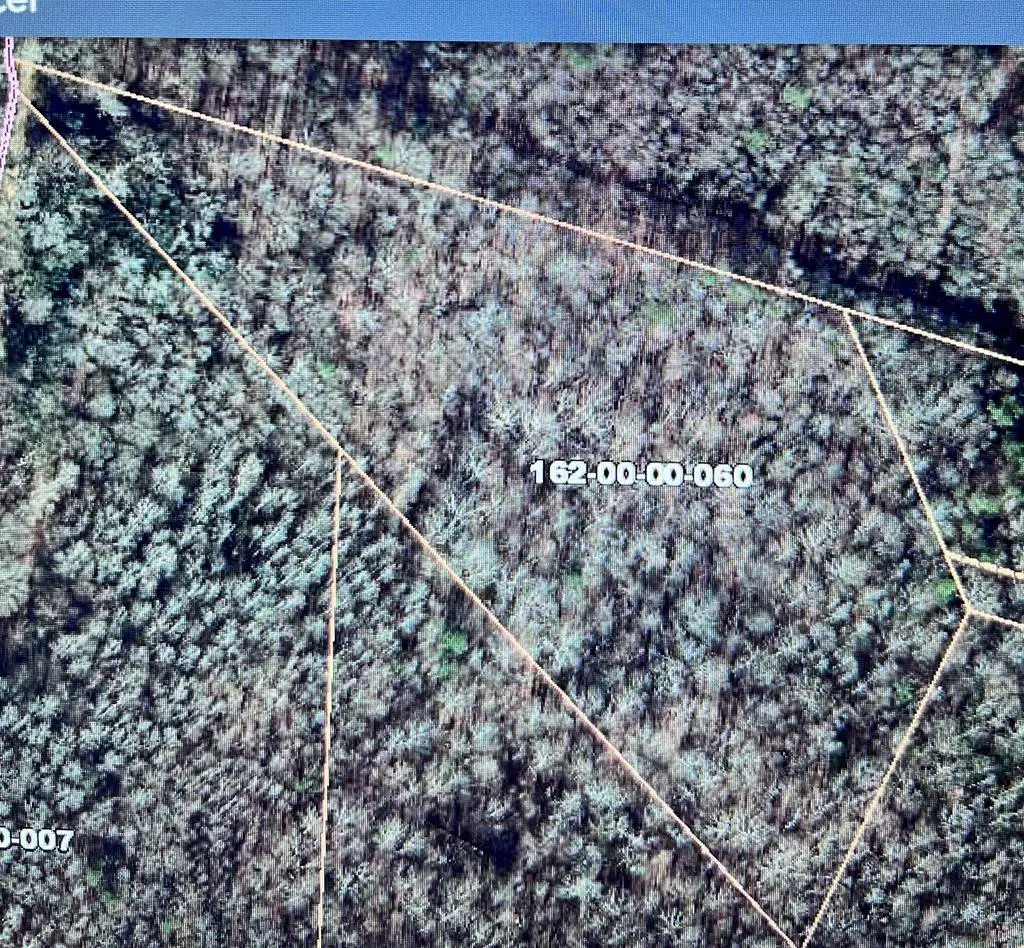 00 Georgia Road, Laurens, SC 29370 - #1
