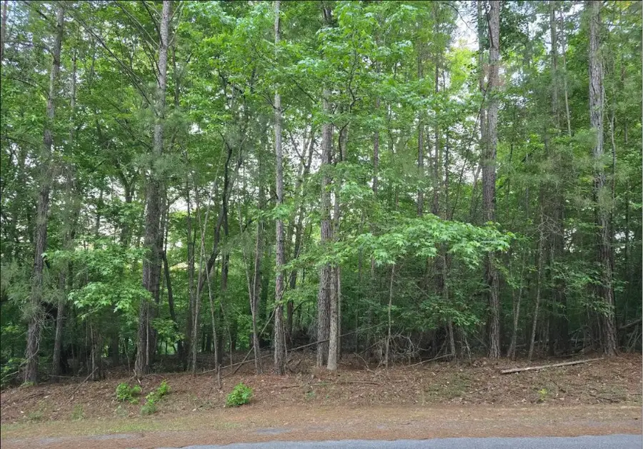 L25, B65 Crescent Drive, McCormick, SC 29835 - #3