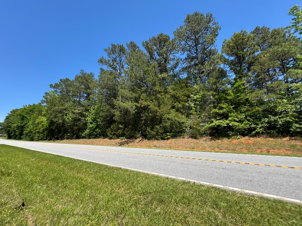 00 Highway 20, Abbeville, SC 29620 - #1
