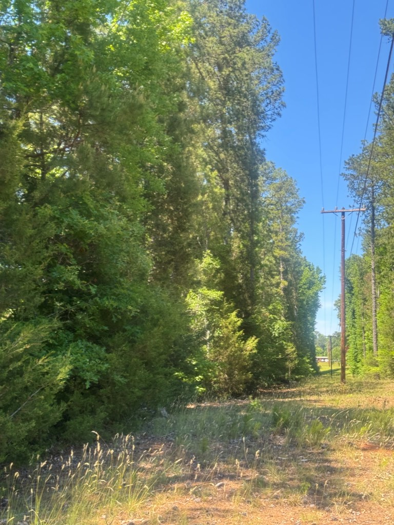 00 Highway 20, Abbeville, SC 29620 - #3
