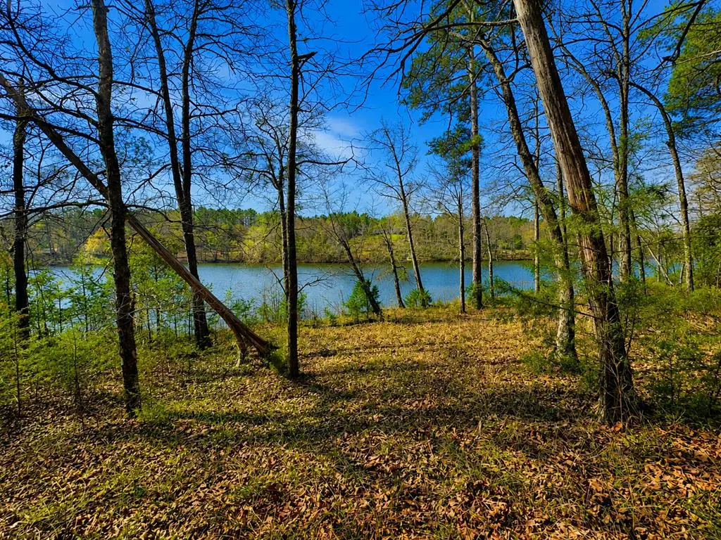 519 Terrapin Pointe Rd, Hodges, SC 29653 - #1