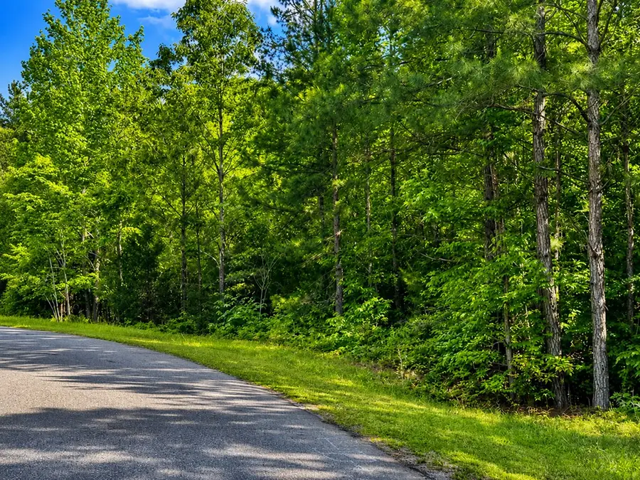 519 Terrapin Pointe Rd, Hodges, SC 29653 - #3